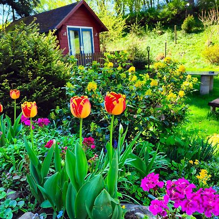 Bed And Breakfast Tvrz Velká Bukovina 외부 사진