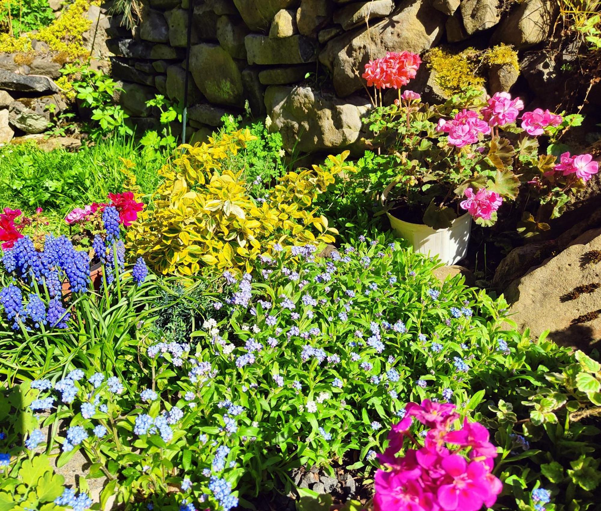 Bed And Breakfast Tvrz Velká Bukovina 외부 사진