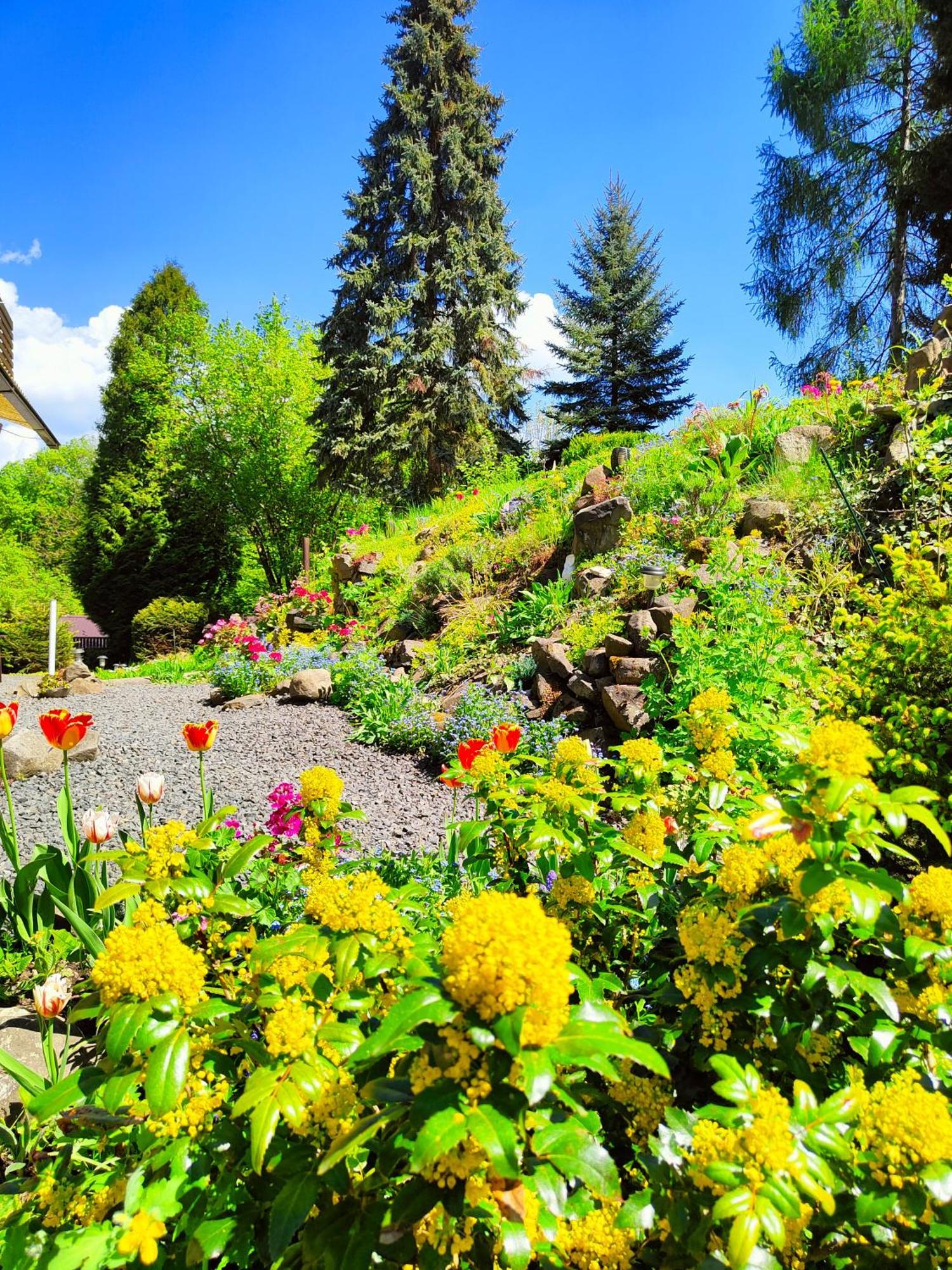 Bed And Breakfast Tvrz Velká Bukovina 외부 사진