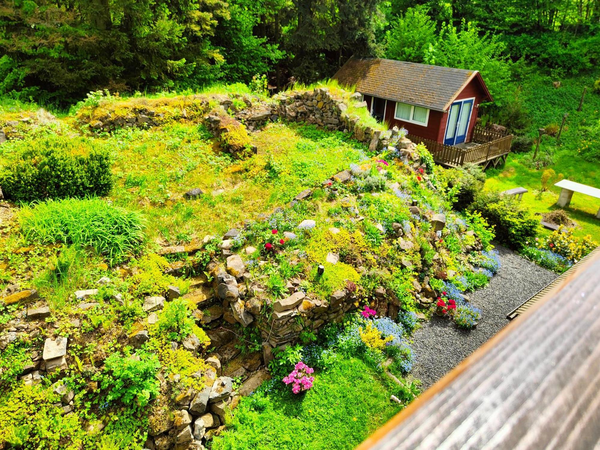 Bed And Breakfast Tvrz Velká Bukovina 외부 사진