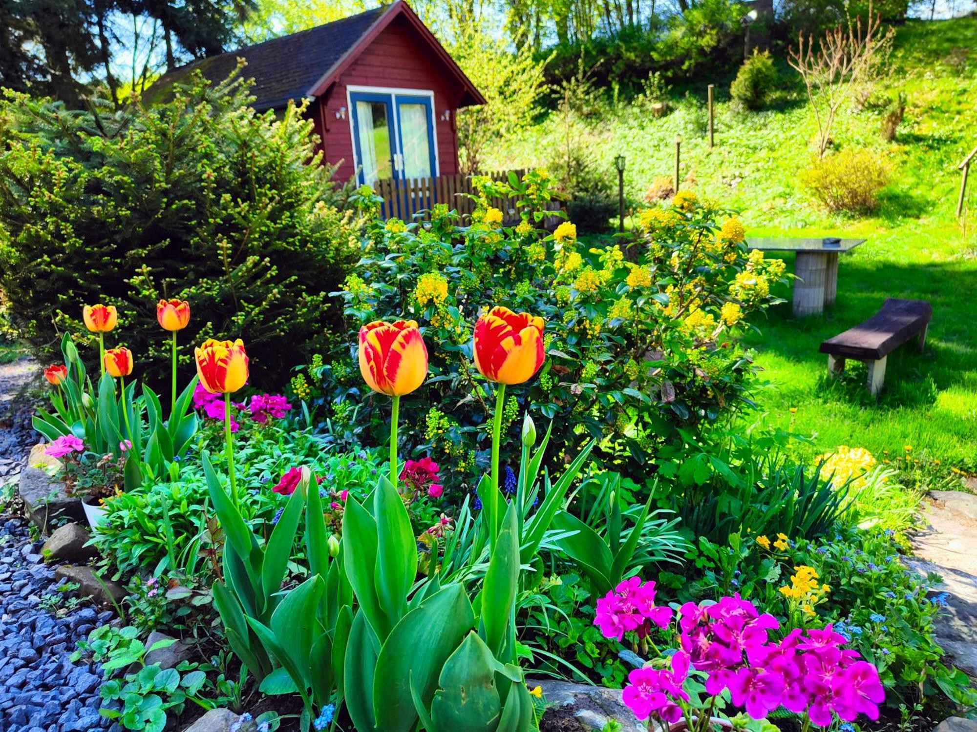 Bed And Breakfast Tvrz Velká Bukovina 외부 사진