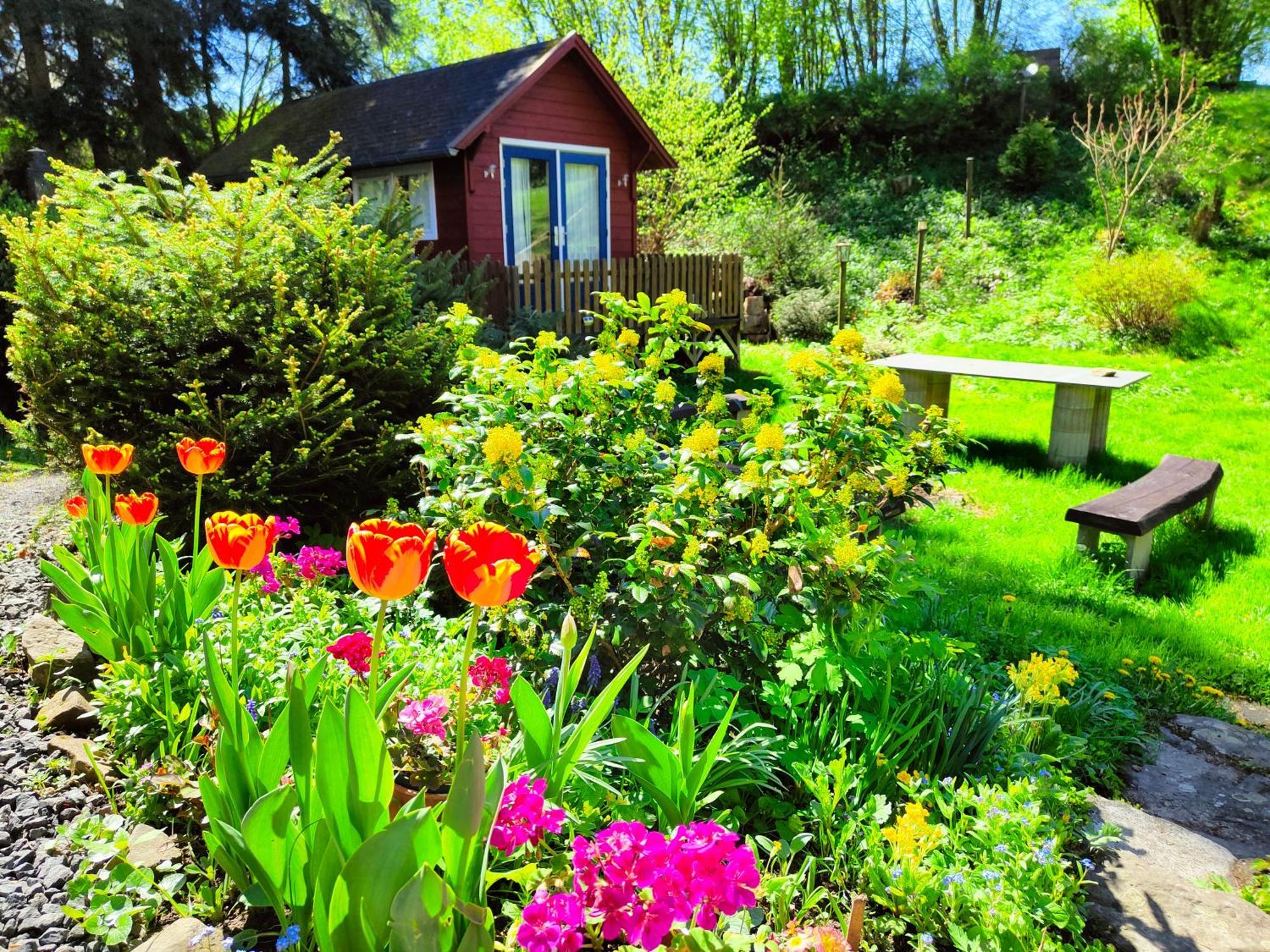 Bed And Breakfast Tvrz Velká Bukovina 외부 사진